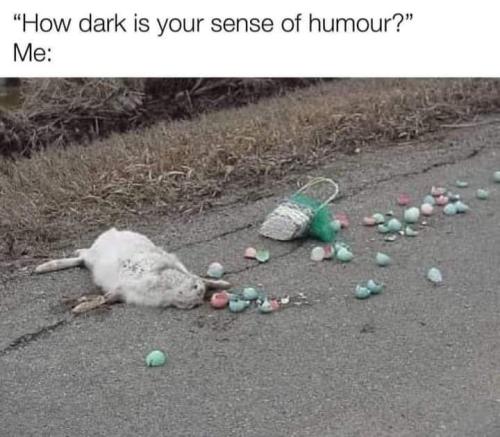 FB_IMG_1680708518028