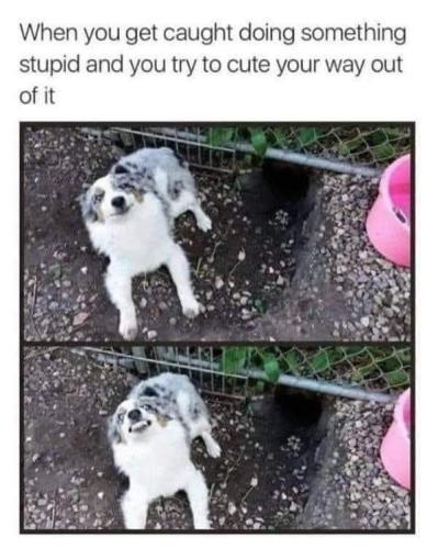 FB_IMG_1682020163537