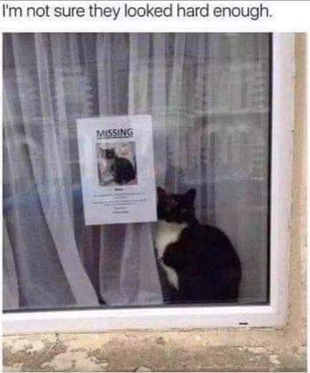 FB_IMG_1682435863703