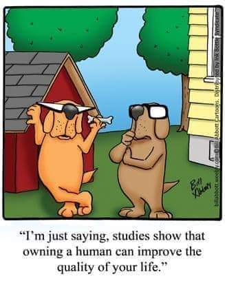 FB_IMG_1680305523394