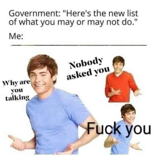 Gov 1