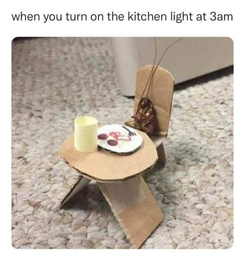 FB_IMG_1681229696444