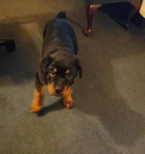 6c2dfb3c-ea9d-4b40-9e70-e88500e2ecc4