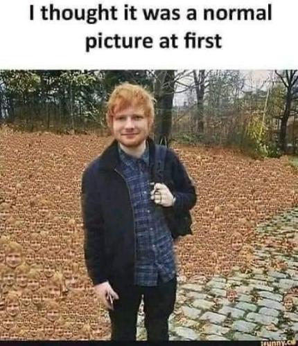 FB_IMG_1680974699997