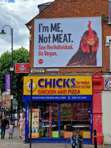 not meat