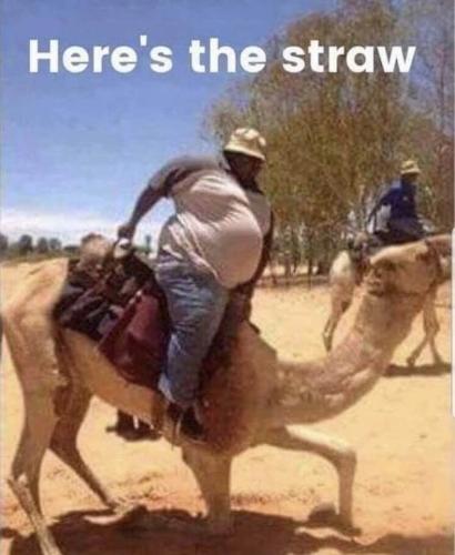 338440614_152669857427308_3922191890256112388_n