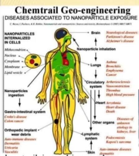 Screenshot_20230423_185017_Facebook