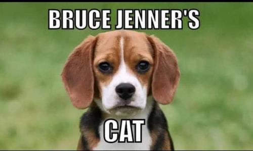 FB_IMG_1681827300247