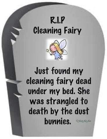 343944052_1026343131661207_3055863866132850813_n