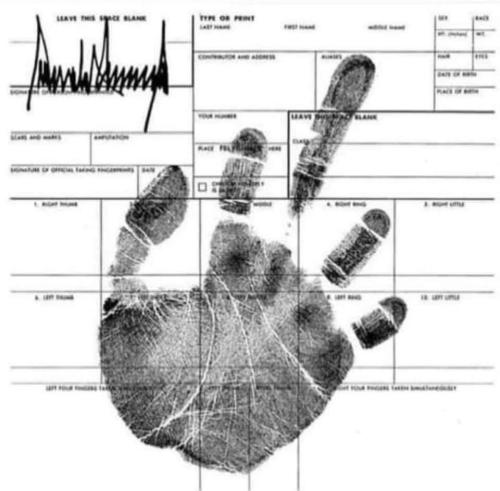 FB_IMG_1680612923824