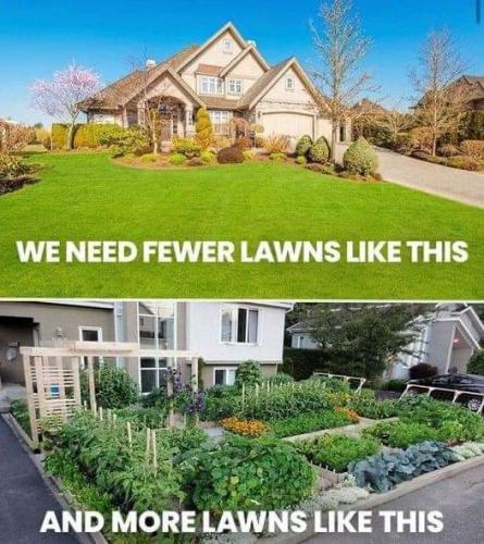 FB_IMG_1682039680719