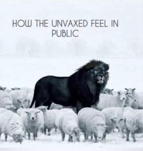 FB_IMG_1681299609392