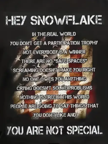 Hey Snowflake