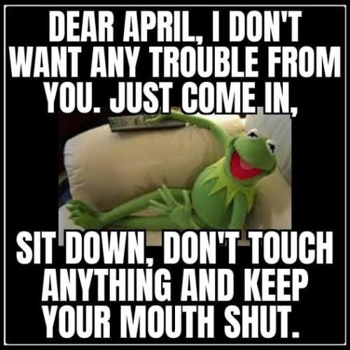 339111054_785530899607411_6230230144555702373_n