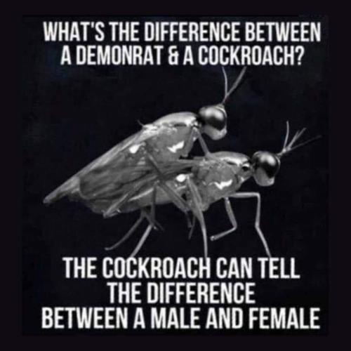 FB_IMG_1682265679893