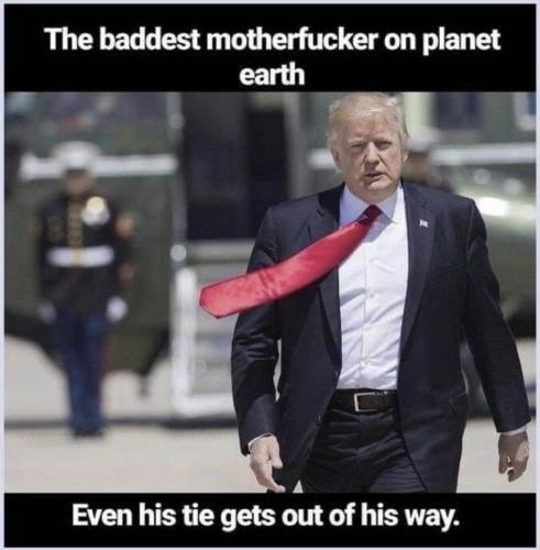 Trump 8