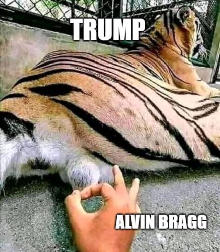 photo_2023-03-31_00-21-53