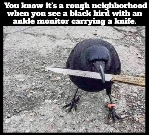 Never take a knife to a gun battle.