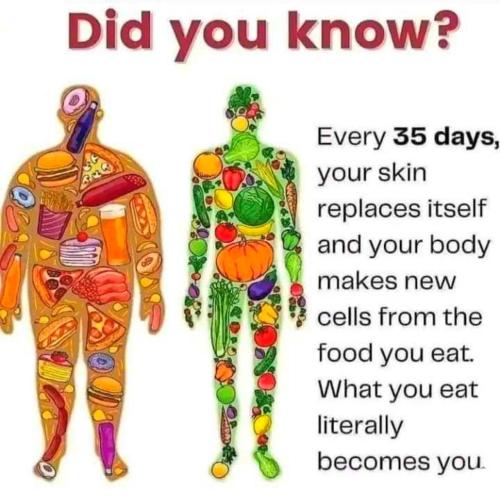 IMG_20230429_174404_243