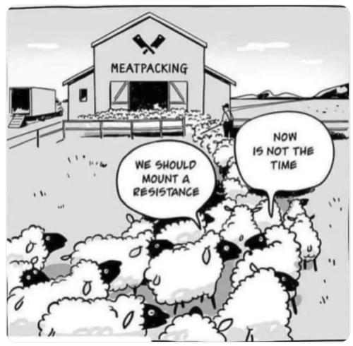 IMG_20230419_104224_356