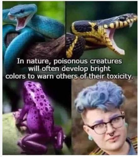 FB_IMG_1680923224803