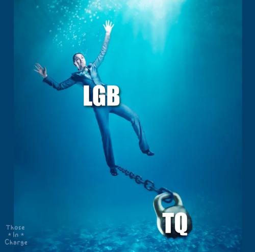 Screenshot_20230413_203639_YouTube