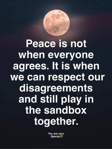 336213956_636854551585605_4276343726980900048_n