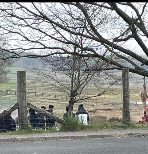 IMG_20230422_125038_182