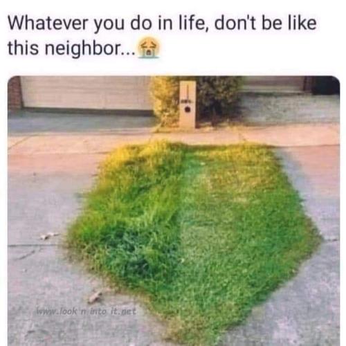 nice neighbour