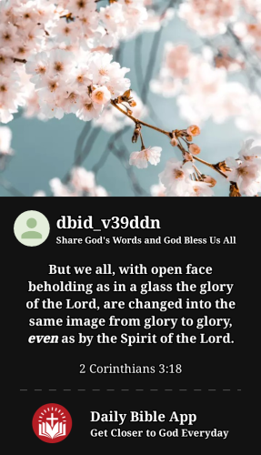 2023-04-271682652197574