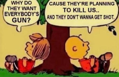 why do they want our guns