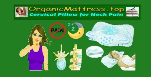 OrganicMattress.top - Best Pillow for Neck Pain