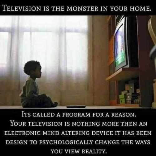 338933729_767287648012128_8869956219343820993_n