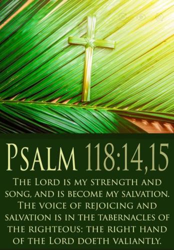 bde9f304-f0e2-497a-848f-db13df9f7e88