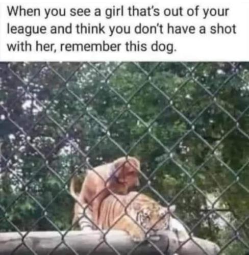 FB_IMG_1680905334733