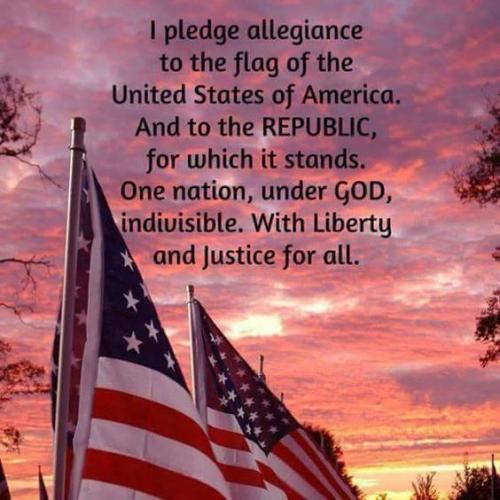pledge to flag 3