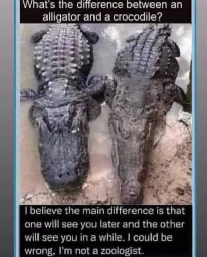 341698109_246826491255795_6955275420965280079_n