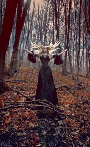 343993506_560168312904531_1630260826280398548_n