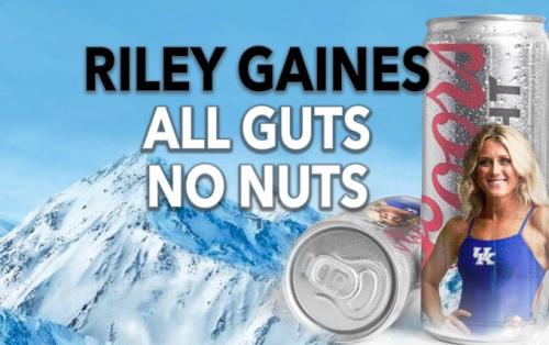 Gaines 1