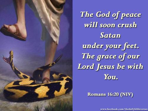 3f9813c31a198bb8e6b4022afe6b6836