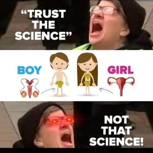 FB_IMG_1681393693560