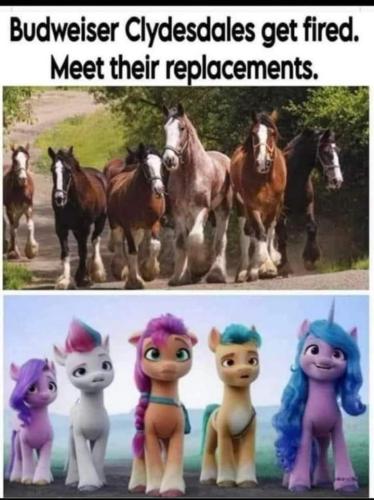 FB_IMG_1682009290936