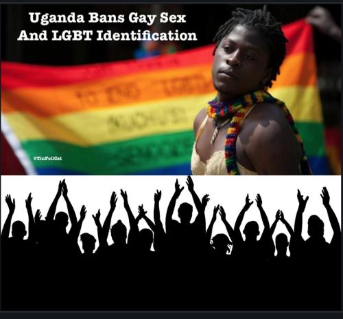 Screenshot_20230324_140203_Chrome