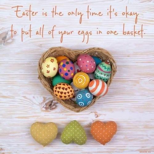 340487696_1249325595703359_6068861823373412221_n