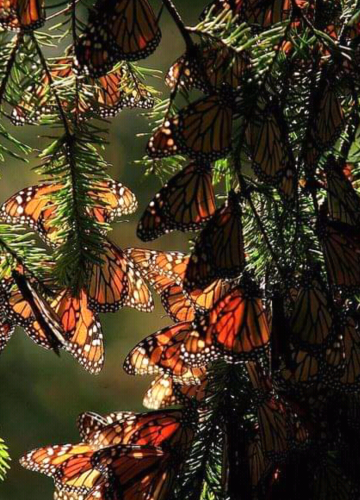 Screenshot_2023-04-07-23-16-48_kindlephoto-207708216