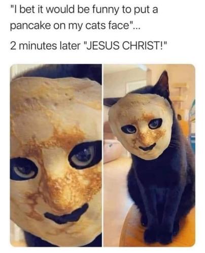 FB_IMG_1680792026242