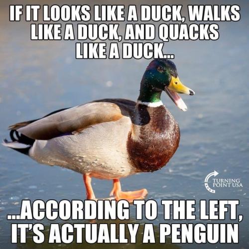 1682363544.704677