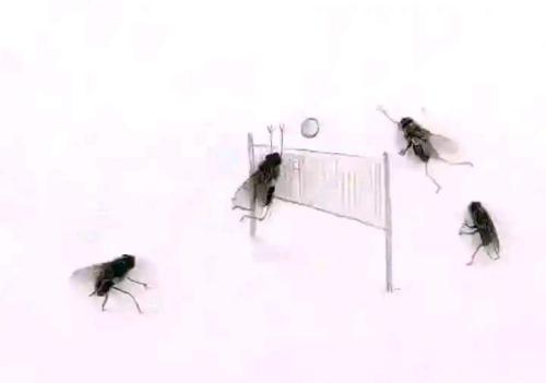 FB_IMG_1681308890271