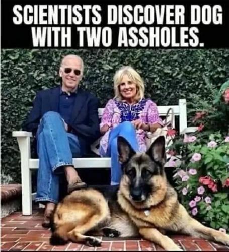 875e28a6-b170-4662-8771-f10712f687ae