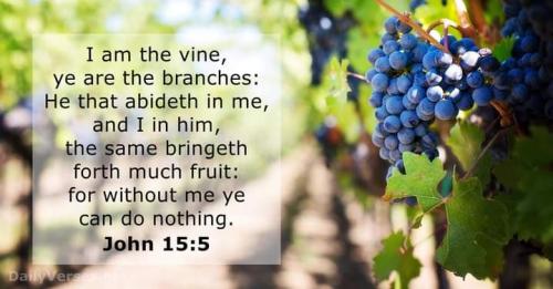 FB_IMG_1681752084946